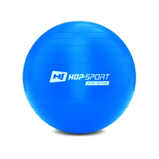 Купить Фитбол  Hop-Sport 45cm HS-R045YB blue + насос в Киеве - фото №1